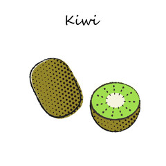 フルーツのイラスト　キウイ