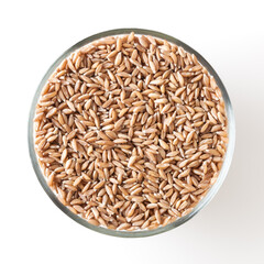 Grains of spelt in glass bowl isolated on white background wiht clipping path