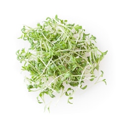 Heap of micro greens garden cress sprouts isolated on white background