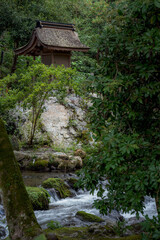 京都 上賀茂神社境内風景