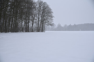Heavy snowfall on the field near the forest.