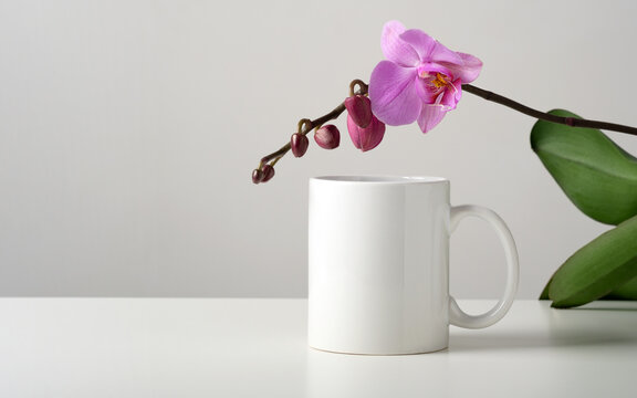 Mockup of one white mugs on a table with orchid flowers decor in a minimalist interior. Template, layout for your design, advertising, logo with copy space. Cup light gray background