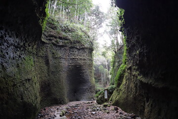 高知県のジブリ伊尾木洞