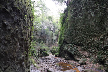 高知県のジブリ伊尾木洞