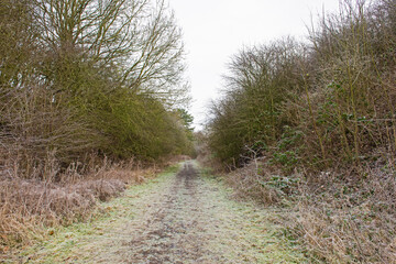 Footpath through rural countryside landscape in winter