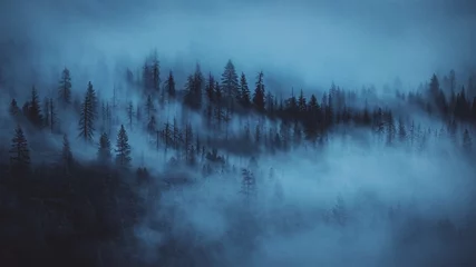 Deurstickers Mistig bos mist in het bos
