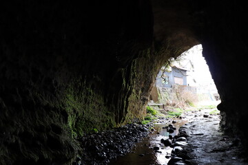 高知県のジブリ伊尾木洞
