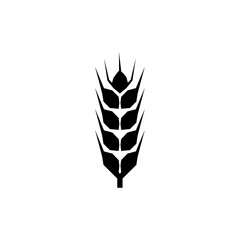 Flat vector line icon of barley, rye, wheat, vector illustration