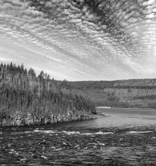 Grayscale. A river in Sweden in the summer.