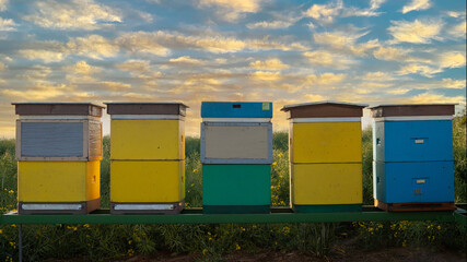 Fototapeta na wymiar Blue and yellow beehives. Apiculture