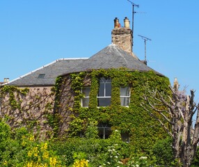 Ivy House