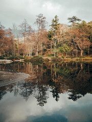 Reflejo bosque oto&ntilde;o