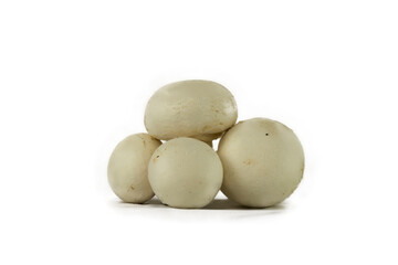 champignon de paris sur fond blanc