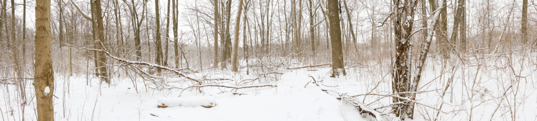 Cold winter day in Hamilton, Canada. Snow covered ground and trees on Bruce trail hiking path....