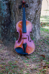 Violin put on green grass ground floor,