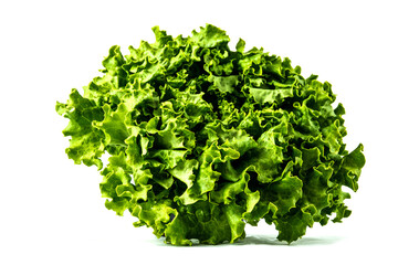 salade sur fond blanc