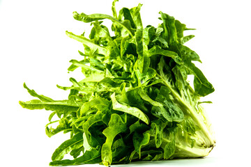 salade sur fond blanc