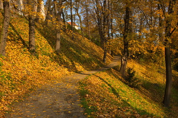 Obraz premium Autumn in Jeleni prikop in Prague,Czech republic,Europe 