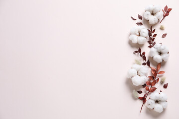 Flat lay composition with cotton flowers on light background. Space for text
