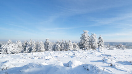 Fototapeta na wymiar Stunning panorama of snowy landscape and tree in winter in Black Forest - Frozen snow winter wonderland Schliffkopf 