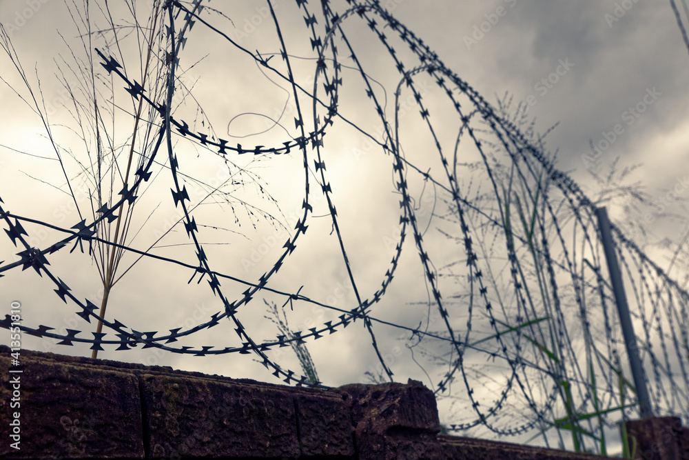 Wall mural curled razor wire fence, property protection on overcast sky