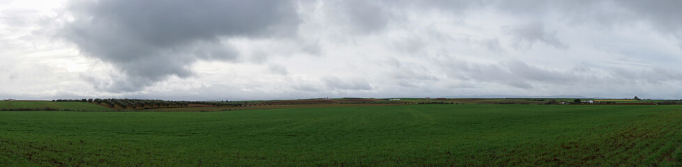 Obraz premium panorama landscape of endless olive groves and green farm fields