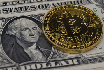 symbolic coins of bitcoin on banknotes of dollars