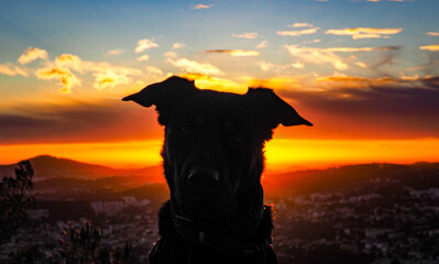 French Riviera Landscape