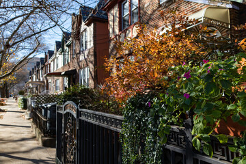 Colorful Plants and Flowers along a Row of Beautiful Old Homes with a Sidewalk in Long Island City Queens New York during Autumn