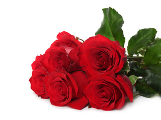 Beautiful red roses on white background. St. Valentine's day celebration