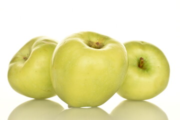 Three organic green apples by Renet Simirenko, close-up, isolated on white.