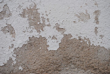 fondo rustico