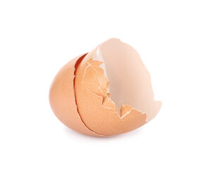 Egg shells on white background. Composting of organic waste