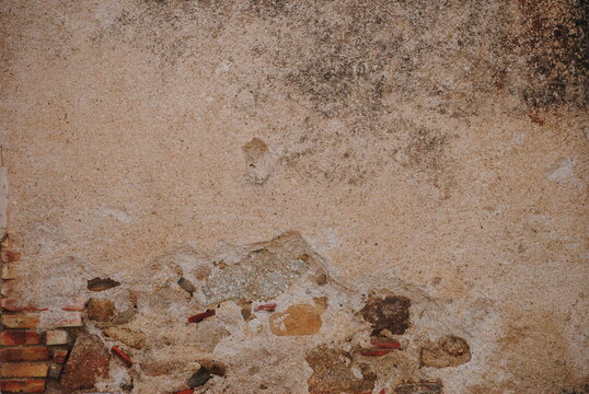 pared