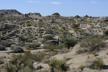 Fototapeta na wymiar Photos of the high desert in Joshua Tree National Park