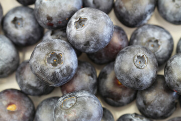 Background made of fresh, sweet and juicy blueberries
