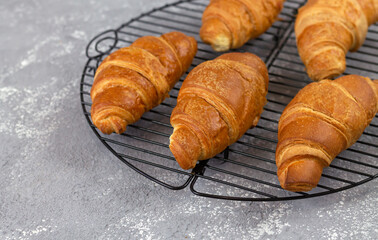 Freshly baked croissants on cooling rack, traditional French breakfast concept