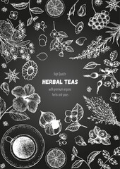 Herbal Tea shop frame vector illustration. Vector design with herbal ingredients. Hand drawn sketch collection. Engraved style.