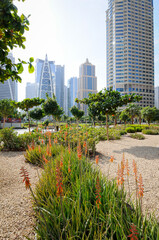 Vue sur un parc urbain au centre de Dubaï avec verdure au premier plan et des gratte-ciel en arrière plan. 