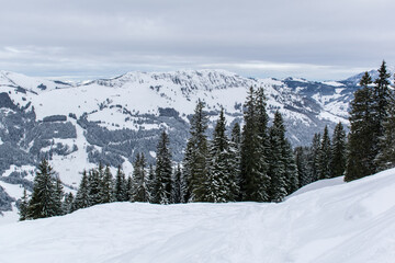 Behind the slope covered with coniferous forest, you can see the panorama of the Kitzbuhel Valley topped by a mountain range with sharp-pointed snow-capped peaks.