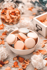 Sweet dessert concept