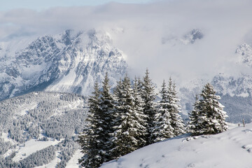 The Austrian Alps in winter near Kitzbuhel. Behind the snow covered fir trees the fog rises revealing the magnificent mountain peaks.
