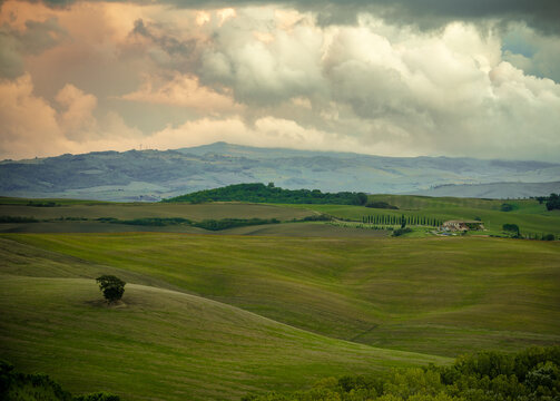  Road to Torrenieri, Tuscany.