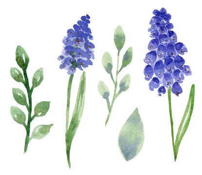 Watercolor set of illustrations with spring flowers and branches