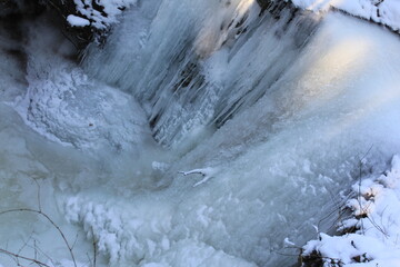 eiszeit im winter mit schnee in der landschaft und im wald eingeforener wasserfall mit eiszapfen...
