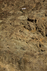 sea level point at badwater,  death valley