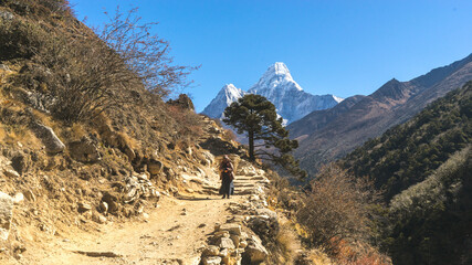 Tengboche, Nepal - October 2018: Ama Dablam on the trail to Everest Base Camp, local sherpa woman carrying woods to village, landscape in the mountains, illustrative editorial