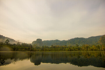 Trees out of a lake in Khao Sok national park, Thailand