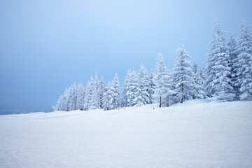 Krajobraz zimowy, białe góry Beskidy, Polska