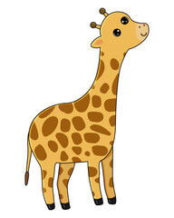 Obraz premium Giraffe vector cartoon illustration. Cute giraffe isolated on white background. Great for icon, symbol, card, children's book